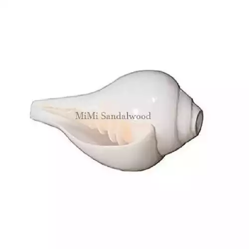 Blowing Shankh (White Conch Shell)