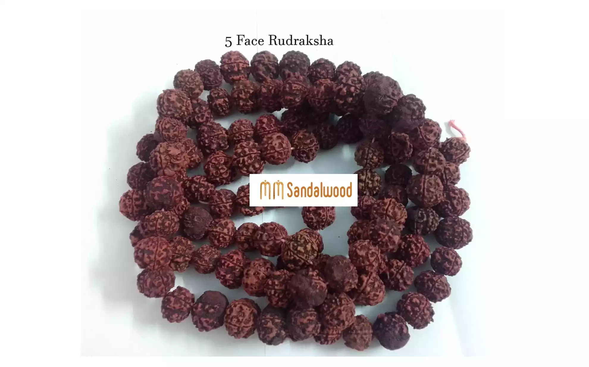 Original Rudraksha Japa Mala 108 Beads